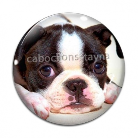 Cabochon Verre - chien