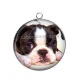 Pendentif Cabochon Argent - chien