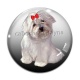 Cabochon Verre - chien