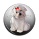 Cabochon Résine - chien