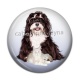 Cabochon Résine - chien