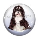 Cabochon Verre - chien