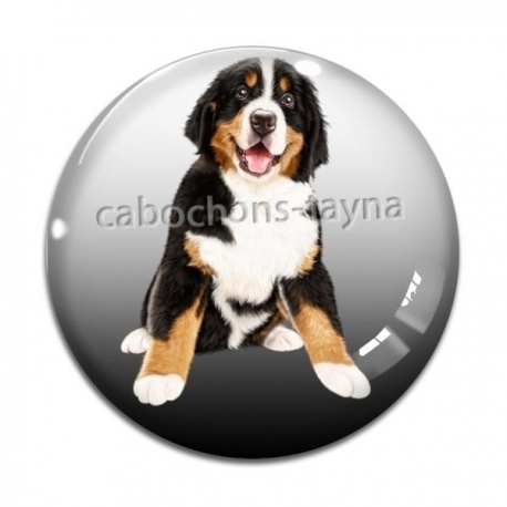 Cabochon Verre - chien