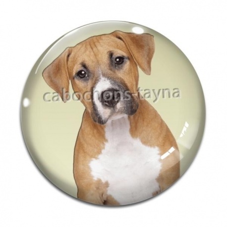 Cabochon Verre - chien