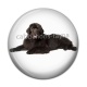 Cabochon Résine - chien