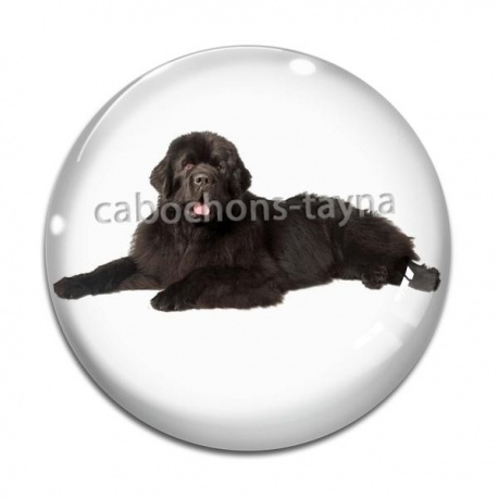 Cabochon Verre - chien