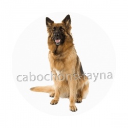 chien
