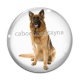 Cabochon Verre - chien