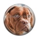 Cabochon Résine - chien
