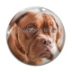 Cabochon Verre - chien