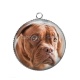 Pendentif Cabochon Argent - chien