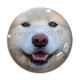 Cabochon Verre - chien
