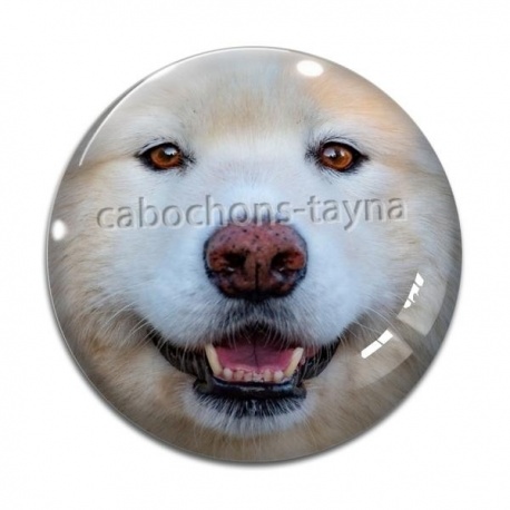 Cabochon Verre - chien