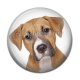 Cabochon Résine - chien
