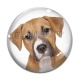 Cabochon Verre - chien