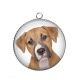 Pendentif Cabochon Argent - chien