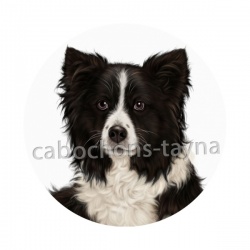 chien