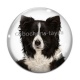 Cabochon Verre - chien