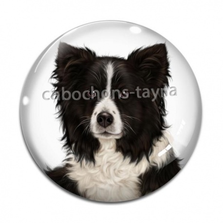 Cabochon Verre - chien