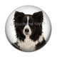 Cabochon Résine - chien