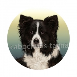 chien