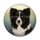 Cabochon Résine - chien