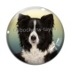 Cabochon Verre - chien