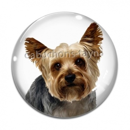 Cabochon Verre - chien
