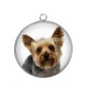 Pendentif Cabochon Argent - chien