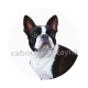 chien