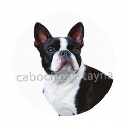 chien