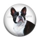 Cabochon Résine - chien