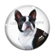 Cabochon Verre - chien