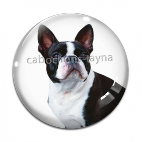 Cabochon Verre - chien