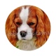 chien