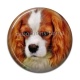 Cabochon Résine - chien