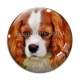 Cabochon Verre - chien