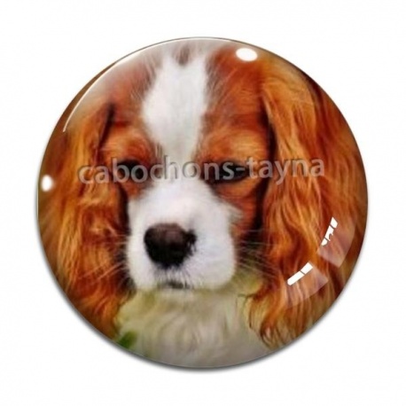 Cabochon Verre - chien