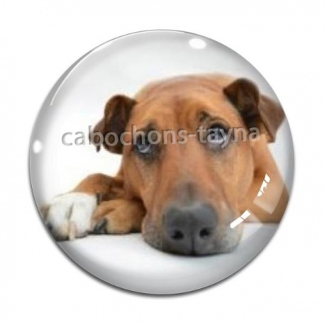 Cabochon Verre - chien
