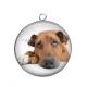 Pendentif Cabochon Argent - chien