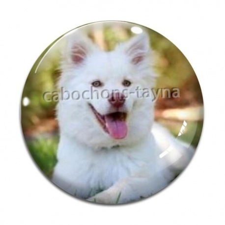 Cabochon Verre - chien