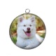 Pendentif Cabochon Argent - chien