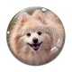 Cabochon Verre - chien