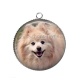 Pendentif Cabochon Argent - chien