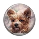 Cabochon Résine - chien