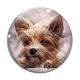 Cabochon Verre - chien