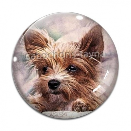 Cabochon Verre - chien