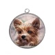 Pendentif Cabochon Argent - chien