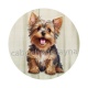 chien