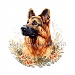 chien